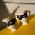 Fuck The Porcelain ART - Glitch Lab