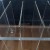 IMG_2600.jpeg