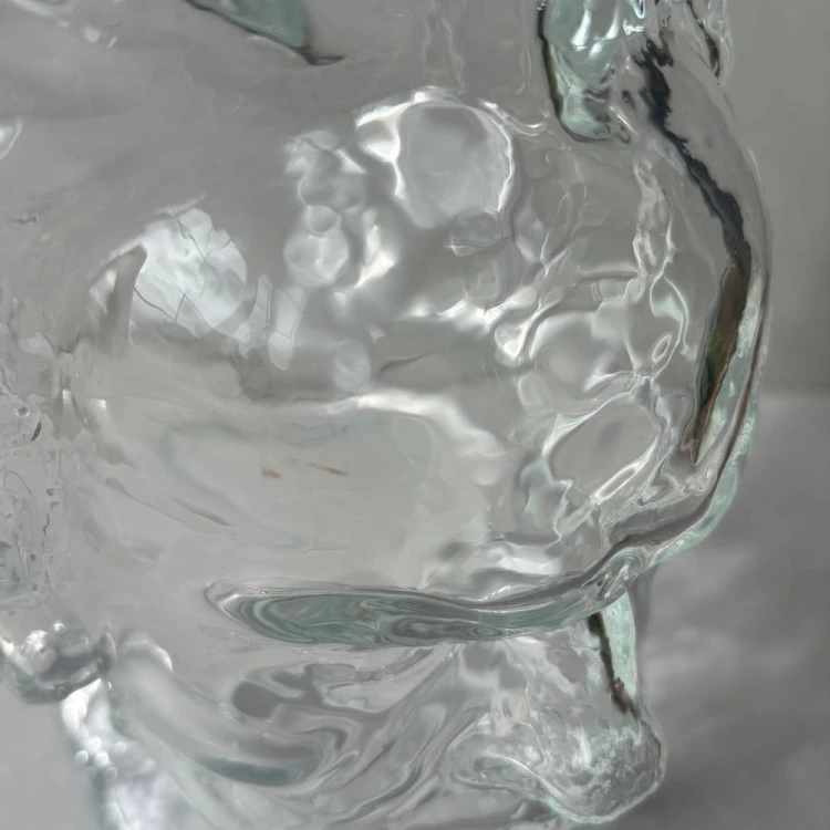 Szklana głowa Beethovena Ingrid Glass
