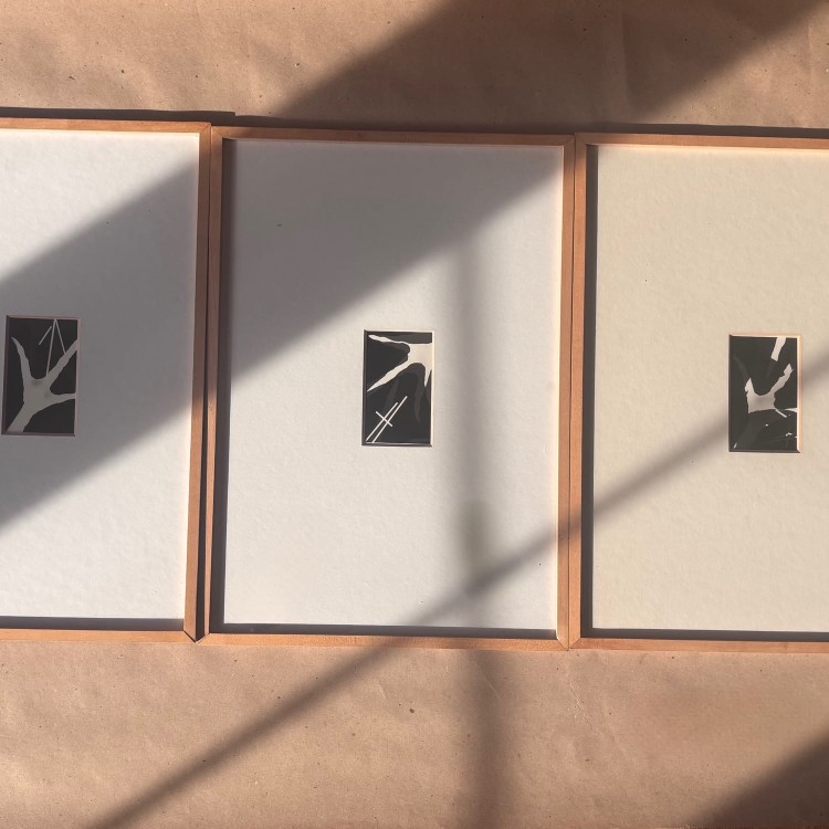 Zestaw 3x fotogramów Renée Pötzscher lata 80-te
