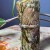 Wazon ceramiczny vintage Weller Forest Tree lata 30 ???