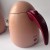 Ekspress Philips-Alessi Workshop