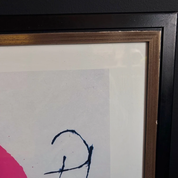 Joana Miró, wydanie z 1993 roku seria „Maestri della Pittura”