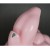 Niesamowita i Ceramiczna głowa Pudla PinK